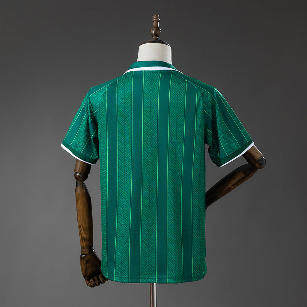Camiseta Sudáfrica 2ª Equipación 2025/26